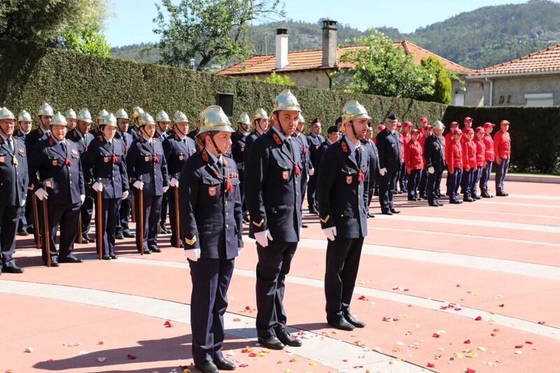https://arquivo.bvvizela.pt/files/original/8765ee9b998b3940706bd5ef97cc7b9b54a47ab5.jpg