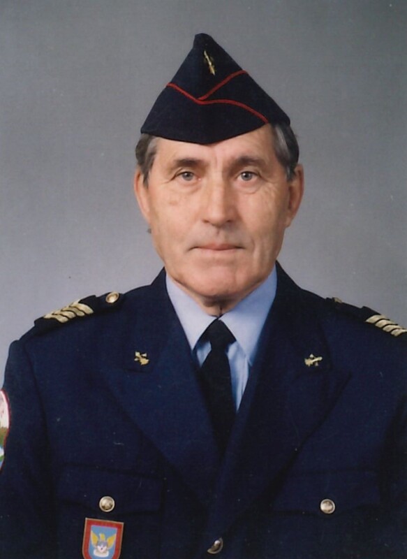 Domingos Vieira Faria Novais