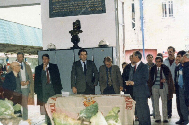 https://arquivo.bvvizela.pt/files/original/e9c348ec75d9f293fc0b5ec87991bd975433962b.jpg