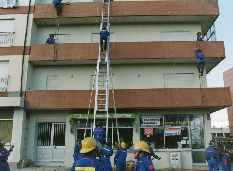 https://arquivo.bvvizela.pt/files/original/c317de4543c2b7304279d48d3196a111d7195852.jpg