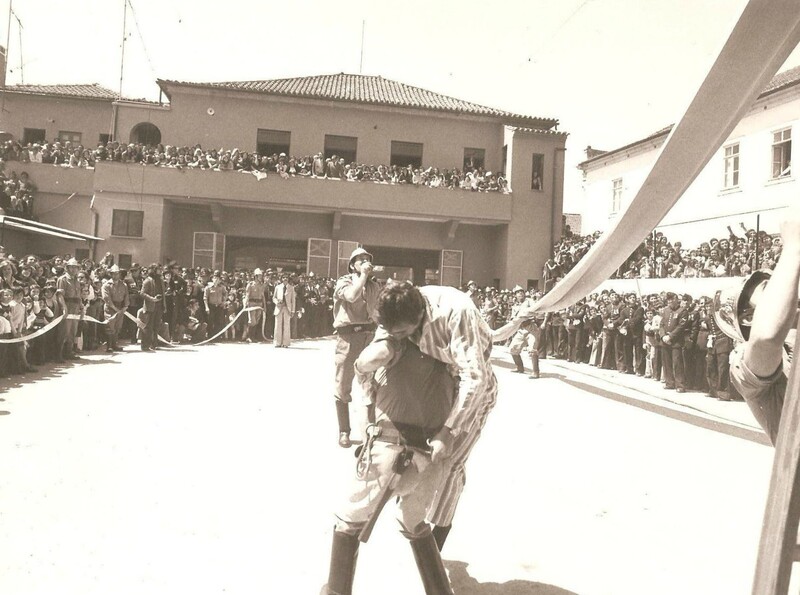 https://arquivo.bvvizela.pt/files/original/6f8d7400dcb45d9435bb4d8886b07ad748888323.jpg