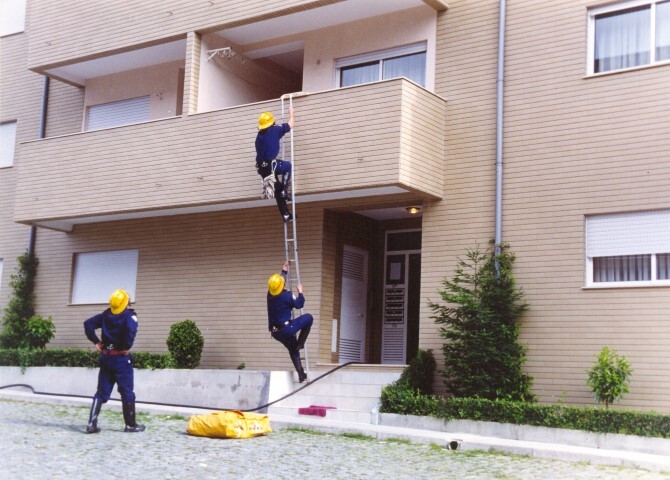 https://arquivo.bvvizela.pt/files/original/2f074a608a341edccb37d8406fa957bf03306d83.jpg