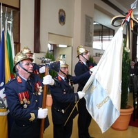 https://arquivo.bvvizela.pt/files/original/f80b639367f1e70c863f8a0cbe6bf3631008523f.jpg