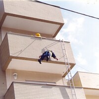 https://arquivo.bvvizela.pt/files/original/7fcef52b6837e1dae8fde8f7ee6418a505ef18d7.jpg