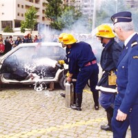 https://arquivo.bvvizela.pt/files/original/6a12e8f8c69c29ae2db4020f1518a166cb2995ba.jpg
