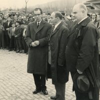 https://arquivo.bvvizela.pt/files/original/10ea2a05a6006f643af14e765d2cd8e7849c626d.jpg