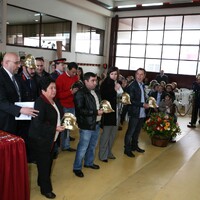 https://arquivo.bvvizela.pt/files/original/a5f500d52bc38a8bdbf03cb6a1d259f9fffae73d.jpg
