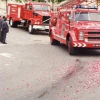 https://arquivo.bvvizela.pt/files/original/9d7416d92a212d503202864e35e1bba981c5523b.jpg