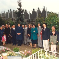 https://arquivo.bvvizela.pt/files/original/0f4cd2ebdb0772e88837f1bdd1fe32f01b6058d0.jpg