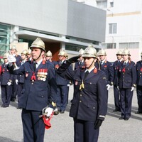 https://arquivo.bvvizela.pt/files/original/ce98687e5ce339c14464730029ab0e230a71ebb8.jpg