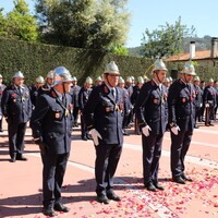https://arquivo.bvvizela.pt/files/original/15a98a7a8adeb91c6b3eb9340ed75e34effc6b20.jpg