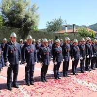 https://arquivo.bvvizela.pt/files/original/de97c33537e607a925e896f3b7216fa53e84b14a.jpg