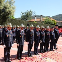https://arquivo.bvvizela.pt/files/original/be6137fd2bbde62a355dd77dbb05569c2234ef3b.jpg