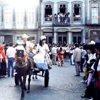 https://arquivo.bvvizela.pt/files/original/b1d660497e213771ccf167c9fad3c1bb6bbcdb08.jpg