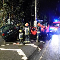 https://arquivo.bvvizela.pt/files/original/0f9a8bfdb5501156167f65f3dc717440e164da4f.jpg