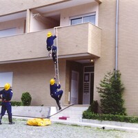 https://arquivo.bvvizela.pt/files/original/2f074a608a341edccb37d8406fa957bf03306d83.jpg